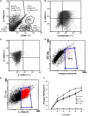 Morphological and Functional Characterization of IL-12Rβ2 Chain on Intestinal Epithelial Cells: Implications for Local and Systemic Immunoregulation